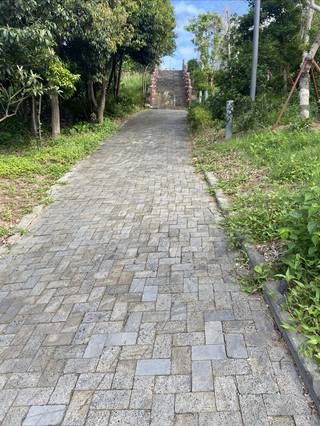 6월 5일, 저희는 톈진 국제 크루즈 항에서 "성진신메이" 크루즈선을 타고 한국 제주도로 향했습니다!

6월 7일 하선 후, 렌터카를 빌려 동백산에 가서 중국어 박물관을 방문했습니다.