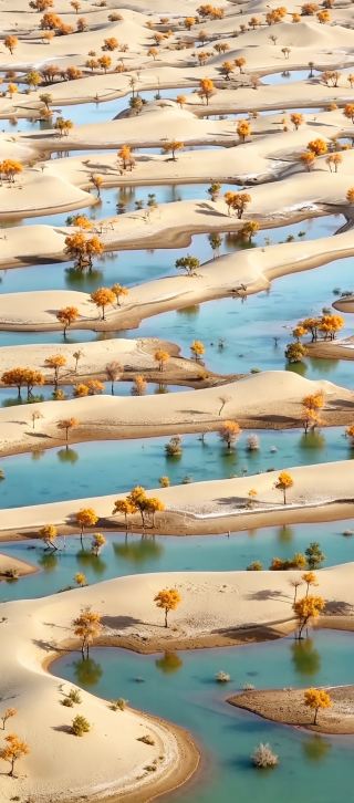 砂漠は「涙を流す」、それは翡翠の海に出会ったからだ。