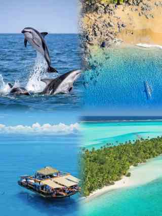 Fiji sekarang memiliki kebijakan bebas visa, yang memungkinkan Anda menjelajahi surga tropis ini tanpa jebakan apa pun. | Trip.com Viti Levu