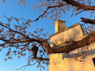 Colonia del Sacramento day trip 🇺🇾