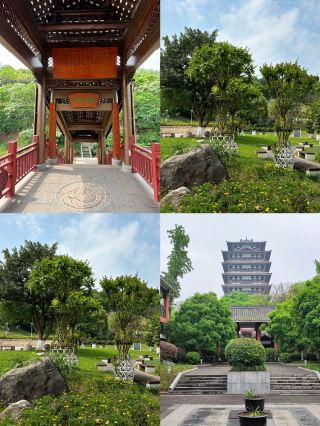 Ziyang is great, but I won’t go back because honestly