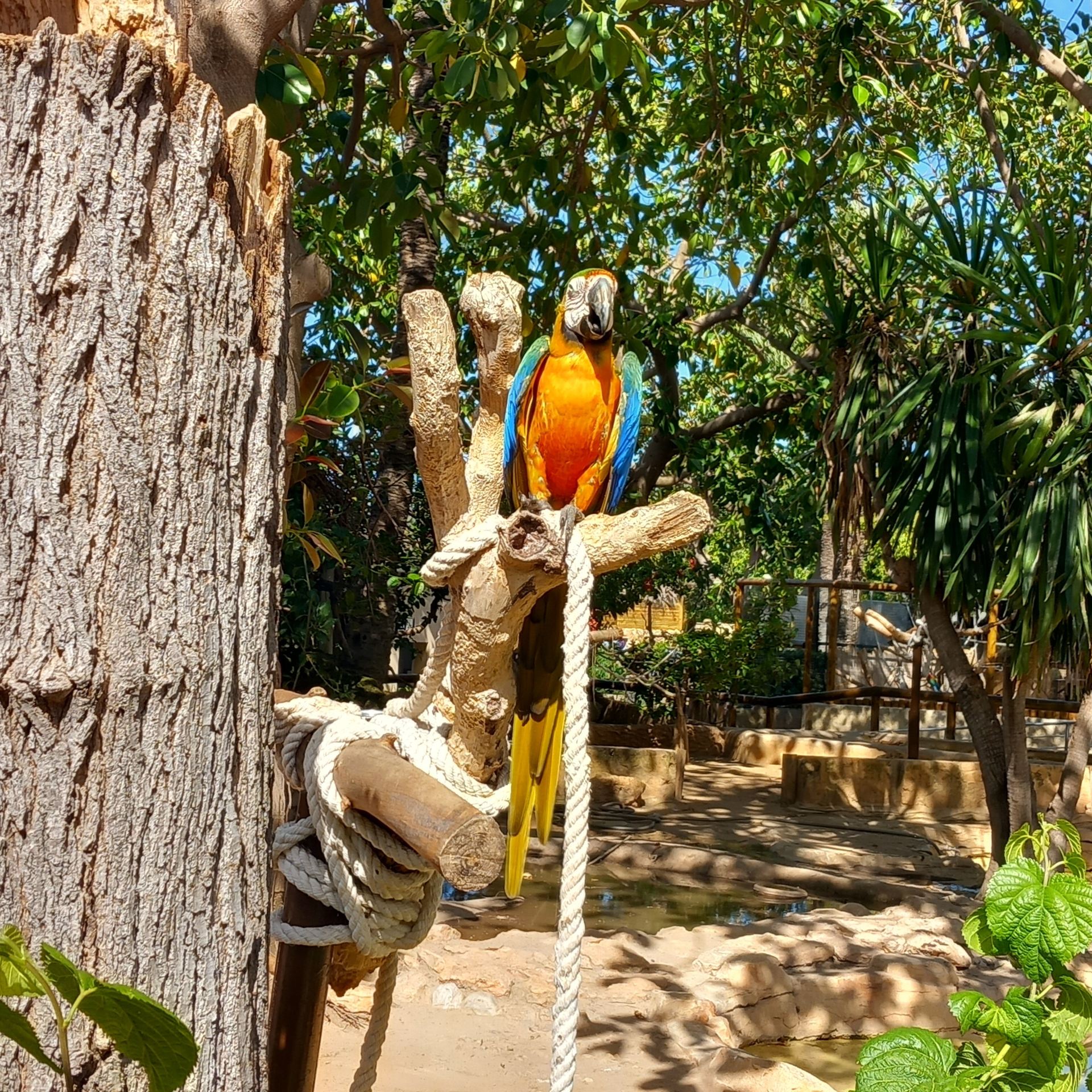 Enjoyable Visit to Marineland