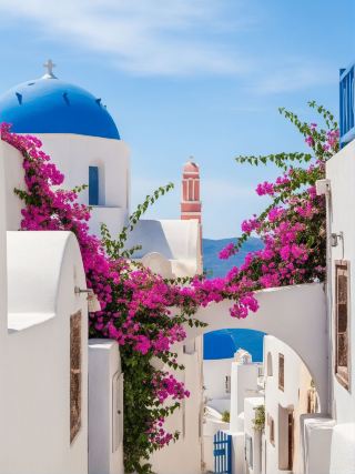 Morocco and multiple-country tour guide suitable for seniors