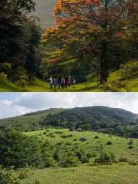 國慶遛娃寶藏地!羅定八排山免費高山草甸,帶娃徒步太治癒了!