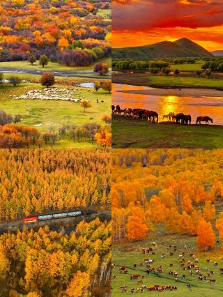 The Greater Khingan Mountains are a must-visit destination in September and October for a legendary autumn experience!