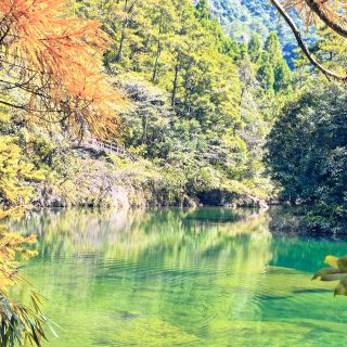 Fall Colors, Zero Crowds: Why I'm Quietly Obsessed With Tongling Mountain