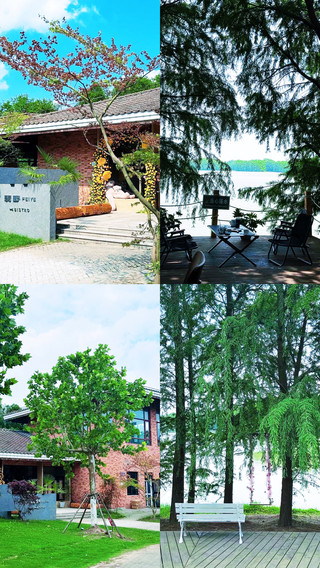 3 must-visit niche destinations for short trips from Shanghai