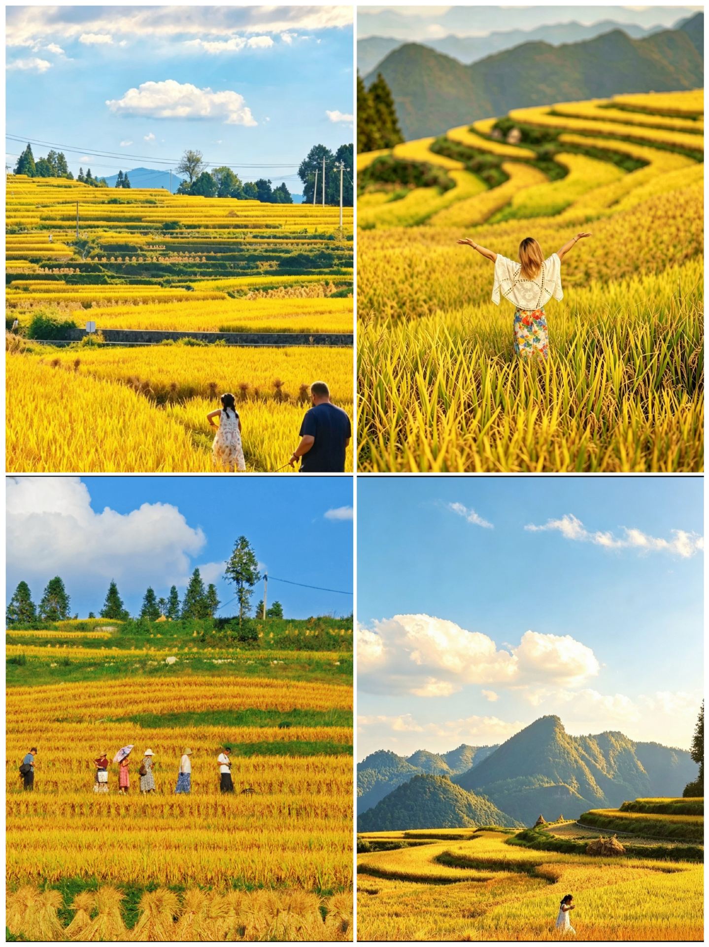5 Great Off-the-Beaten-Path Spots for Late Autumn in Guiyang