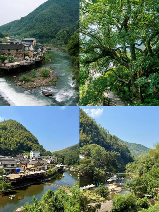 杭州 1.5 小時直達：一條古道串起 3 座古村，像走進《富春山居圖》