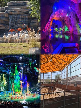 誰が分かるんだ！長距離をかけて徐州九頂山野生動物園へ行ってきた、リアルな体験をみんなに丸裸でさらけ出すよ、子連れ家庭はそのまま真似してOK！ 青島から自家用車で
