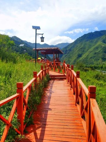 Minhe Flower Sea: Great photo spots