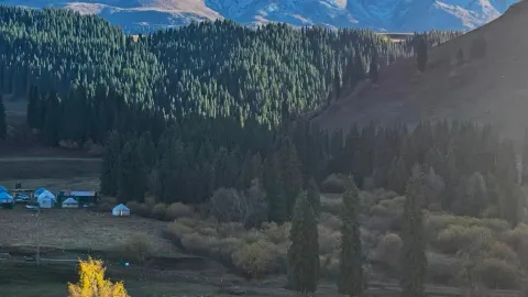 가을에 자가운전으로 두쿠 도로를 달리는 것이야말로 천산이 숨겨둔 유화다 — traveler post in 쿠처