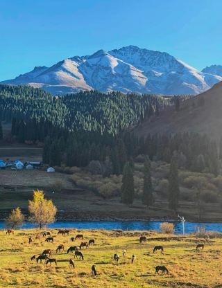 Road Trip di Jalan Raya Duku saat Musim Gugur, Bak Lukisan Tersembunyi di Pegunungan Tianshan.