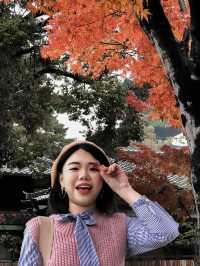 日本奈良興福寺賞紅葉🍁