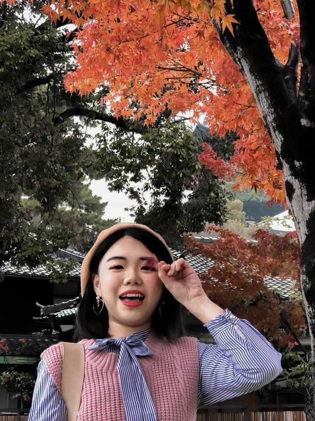 日本奈良興福寺賞紅葉🍁