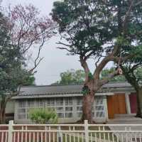 陽明山舊美軍宿舍群-草山小鎮
