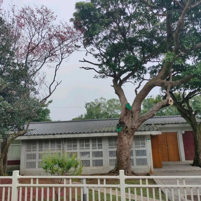 陽明山舊美軍宿舍群-草山小鎮