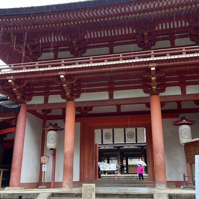 奈良公園一日遊❤️餵鹿經驗🦌