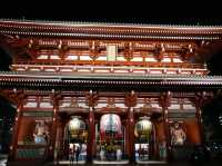 📍東京。2023 夜遊淺草寺 雷門 x 夜櫻。