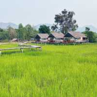 ภูผาม่านโฮมสเตย์