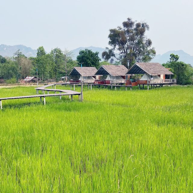 ภูผาม่านโฮมสเตย์