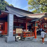 【和歌山】467段を登ればそこには絶景が広がる