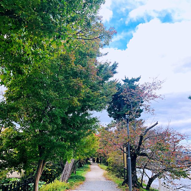 京都府宇治市 宇治上神社 &宇治川