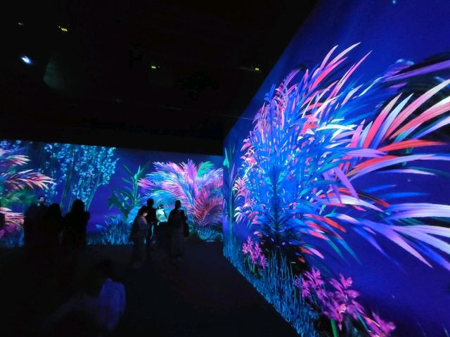 沉浸式視覺藝術展覽