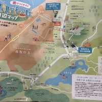 日本三大砂丘、鳥取に広がる幻想世界