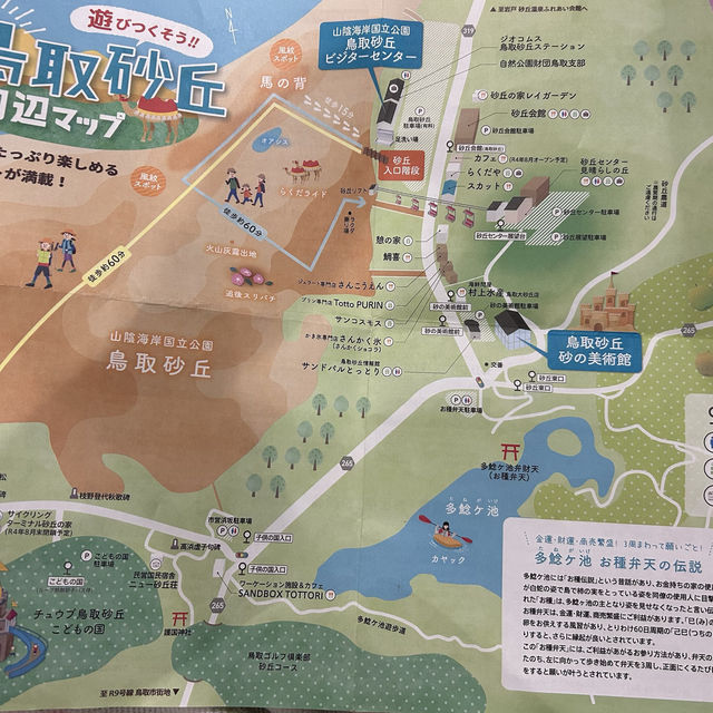 日本三大砂丘、鳥取に広がる幻想世界
