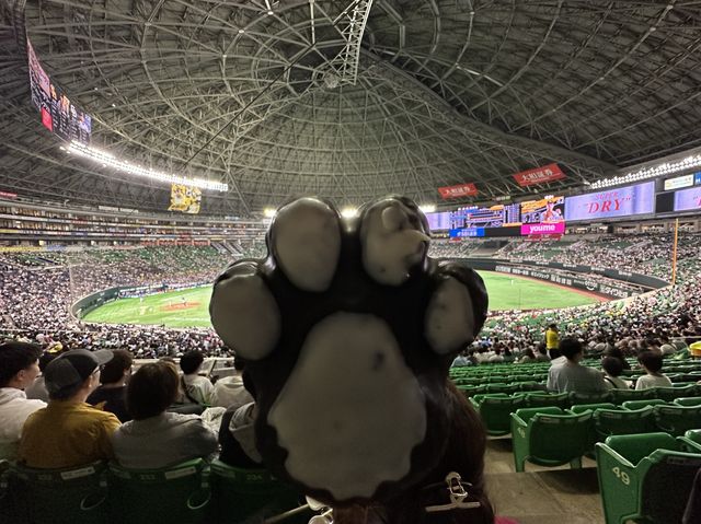 福岡・百道浜。『福岡PayPayドーム』で野球観戦。