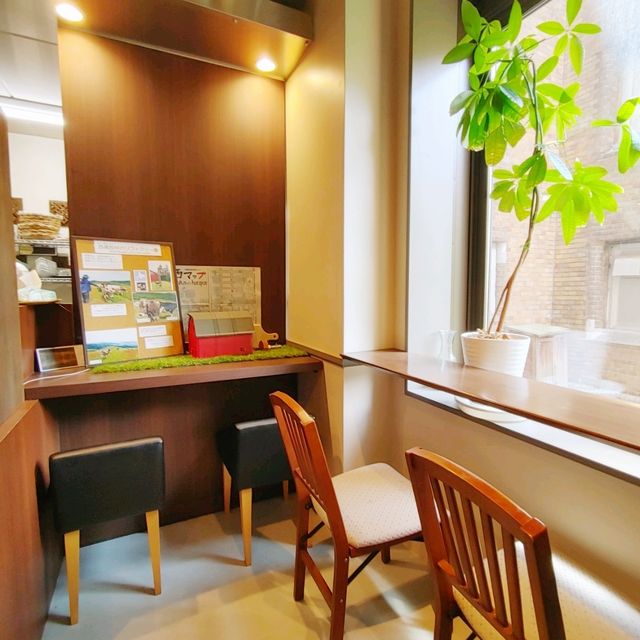 北海道大学　ミュージアムカフェ　ポラス