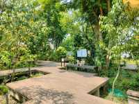 คาเฟ่ริมน้ำ+การเรียนรู้เชิงวนเกษตร อัมพวา