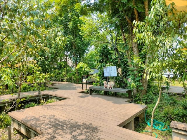 คาเฟ่ริมน้ำ+การเรียนรู้เชิงวนเกษตร อัมพวา