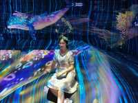 🦋Teamlab🐋光影效果🦎沉浸式體驗🧑🏻‍🎨啟發小朋友的創造力