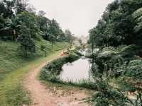 ฤดูฝนกับ หมู่บ้านแห่งสายหมอก อิต่อง - ปิล็อค 