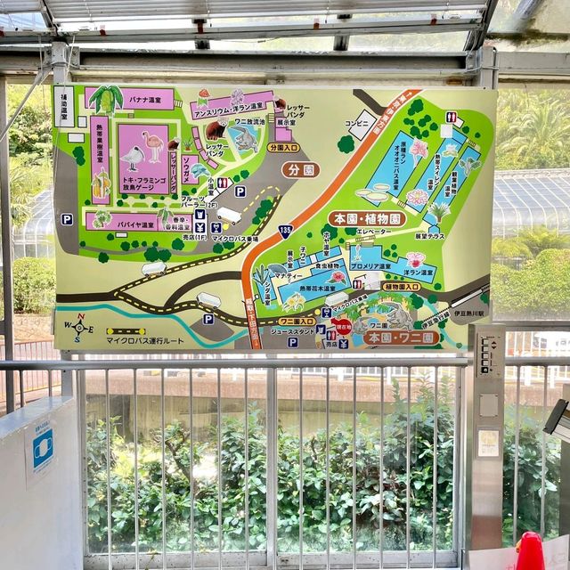 【静岡】熱川バナナワニ園　のんびり🐊や熱帯の植物が楽しめる
