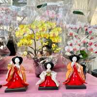 【埼玉県 巣鴨市】パンジーハウス🌼普段はお花と園芸屋さん