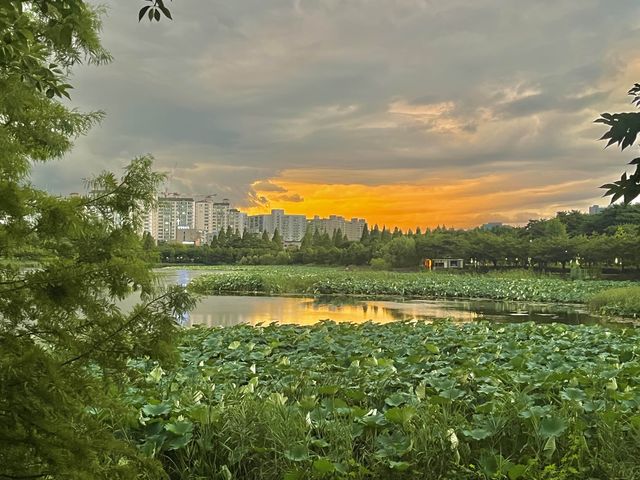 서울 근교 야경맛집 만석공원🌿