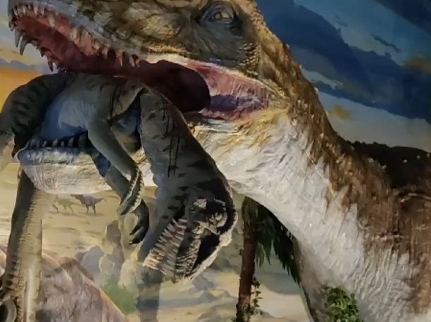 아이들의 최애 여행지, 고성 공룡박물관