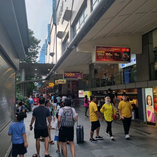 The Singapore Popular Shopping District