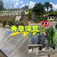 國家公園的大象保育公園 🐘
