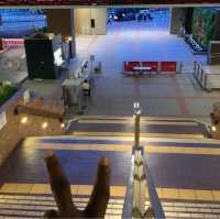 Roam if You Want To: Adventure across Hong Kong (S.A.R) and Shenzhen, China