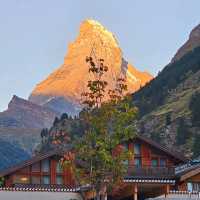 Golden Matterhorn แมทเทอร์ฮอลสีทอง 