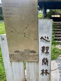 香港大嶼山林中 秘境㊙️