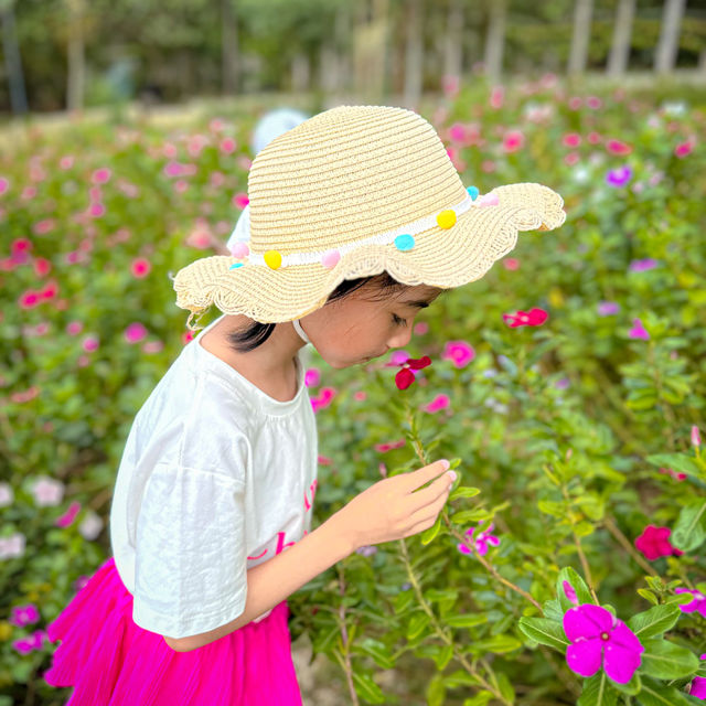 Songkhla Flowers Farm for Flowers Lovers ! 💕