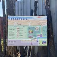 草漯沙丘地質公園-大園潮音海觀景步道🪵