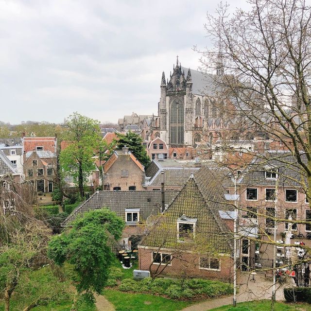 荷蘭🇳🇱萊頓🔰⚜️🔱 Burcht van Leiden 上層景觀篇