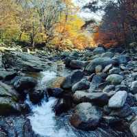 Most beautiful falling season at Bamsagol