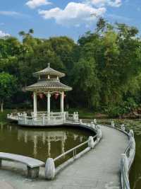 🌸🏞️💦 東莞人民公園～蓮花亭小橋流水🌸🏞️💦